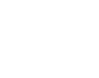 PADMA tours and travels light logo